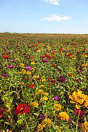 《时间旅者：重生曙光》10分钟实机演示公开